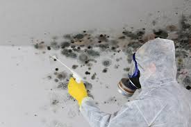 Glendale, OH Mold Inspection Company